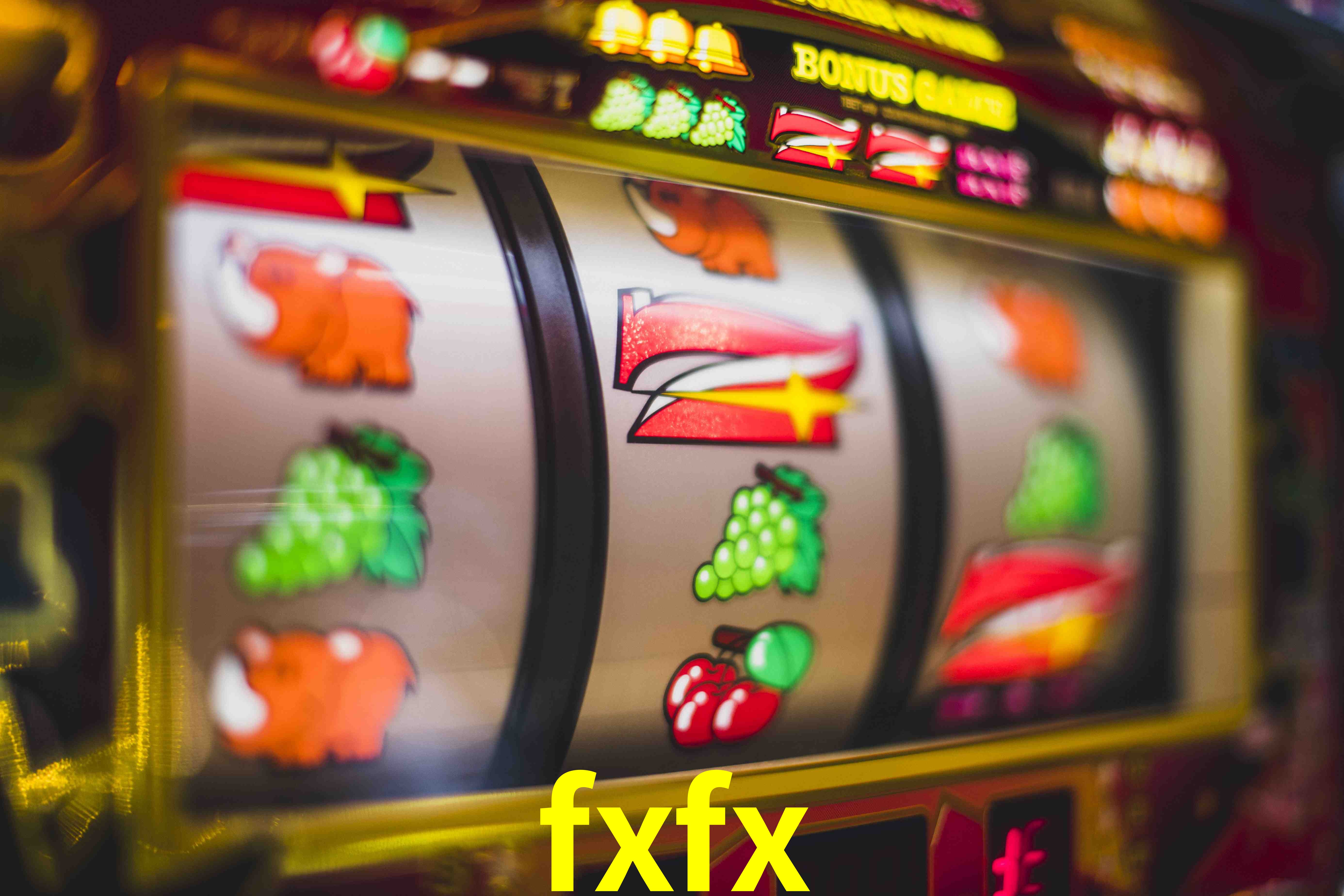 Sports Statistics fxfx